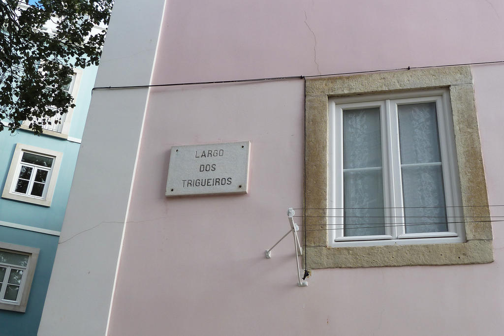 Apartamento Dreaming Lisbon - Trigueiros Exterior foto